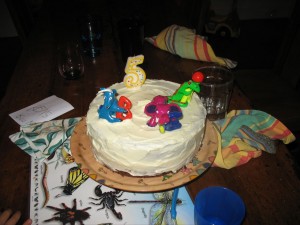 img_25411 img_25411