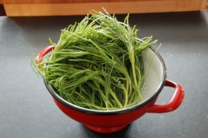 dsc_0003 Agretti
