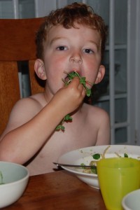 dsc_0028 dsc_0028
