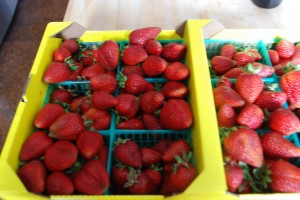 flat-of-strawberries flat-of-strawberries