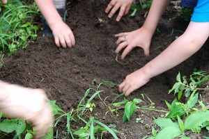 digging digging