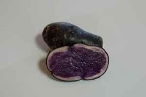 purple purple