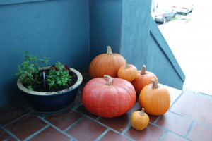 DSC_0002 DSC_0002