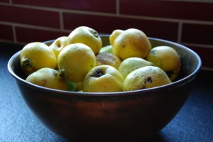 DSC_0005 DSC_0005