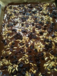 bark with seeds and berries bark with seeds and berries