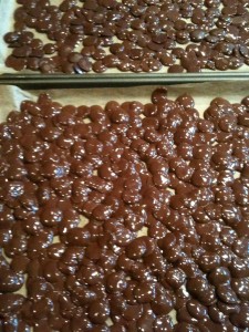 melty chocolate melty chocolate